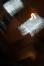 P1050148-1.JPG